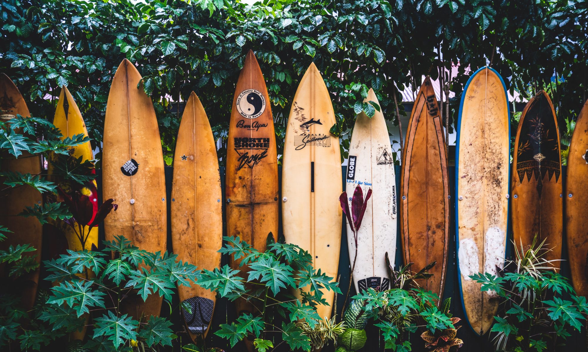 Old surfboards